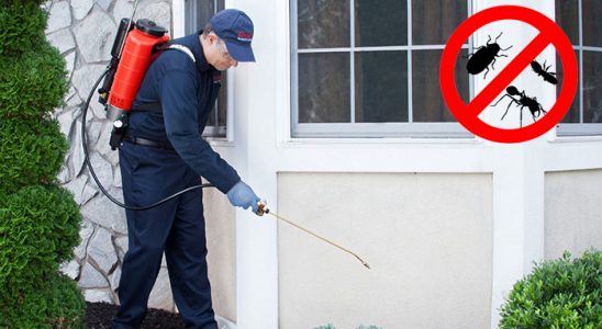 Arsin Hamam Böceği İlaçlama böcek ilaçlama ve haşere kontrolü — ilaclama-tr.com